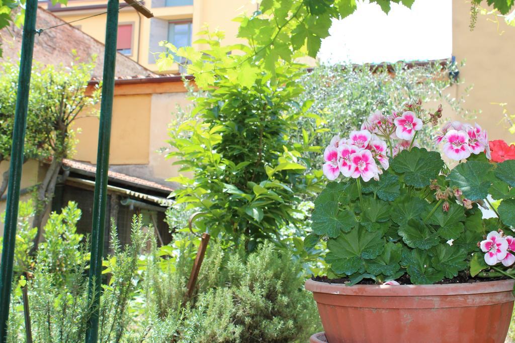 Casa Per Ferie Regina Santo Rosario Bed & Breakfast Florence Exterior photo